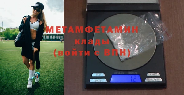 прущие грибы Мегион