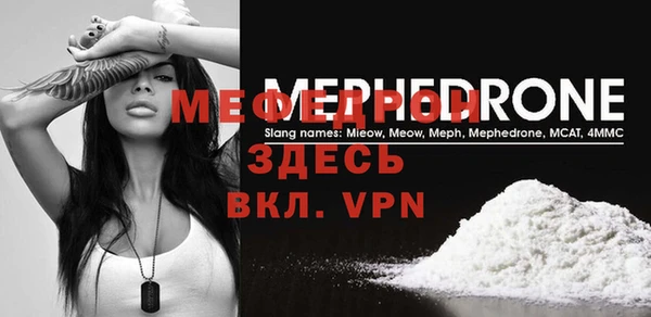 индика Медвежьегорск