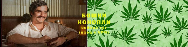 spice Медногорск