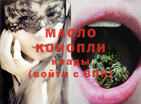 индика Медвежьегорск