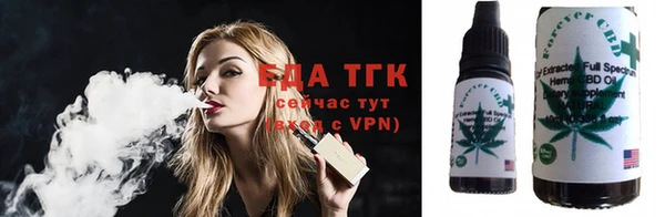 индика Медвежьегорск