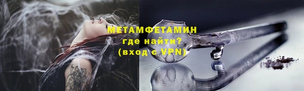 индика Медвежьегорск
