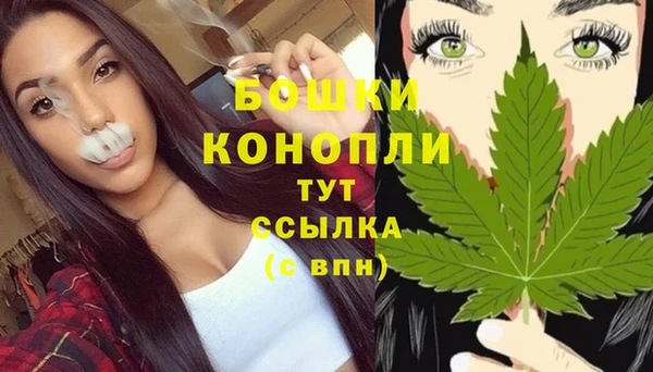 PSILOCYBIN Михайловск