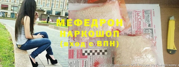 индика Медвежьегорск