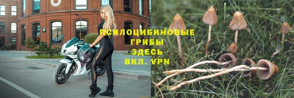 PSILOCYBIN Михайловск