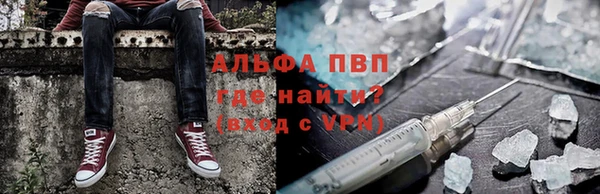 PSILOCYBIN Михайловск