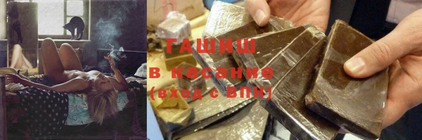 прущие грибы Мегион
