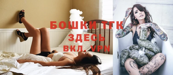 индика Медвежьегорск