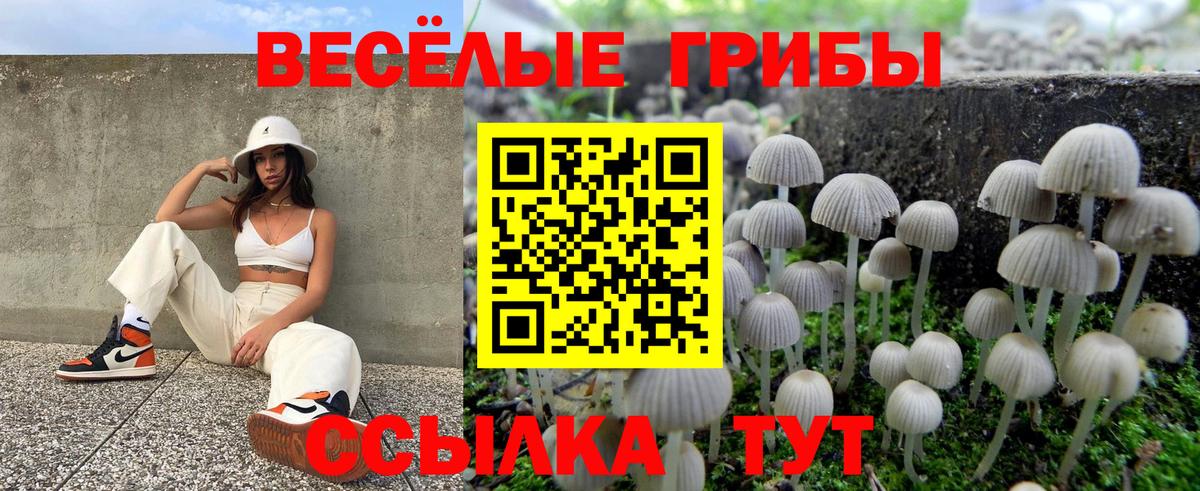 Сыктывкар  Псилоцибиновые грибы ЛСД  Галлюциногенные грибы GOLDEN TEACHER  Вход с VPN 
