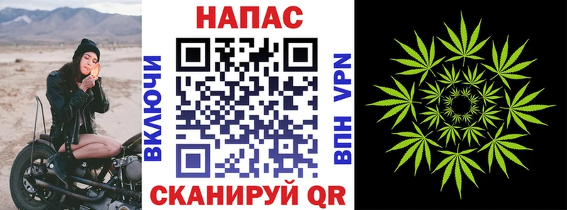 Бошки марихуана Ganja  МЕГА рабочий сайт  Сыктывкар 