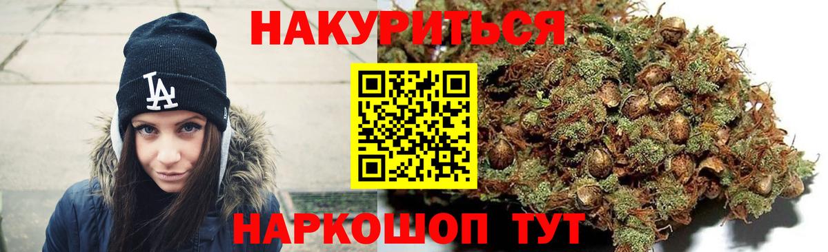 Бошки Шишки план Сыктывкар